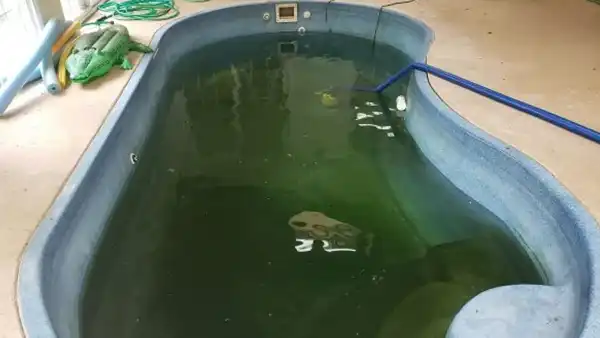 Demolition Company and Contractor in , Fiberglass Pool Demolition