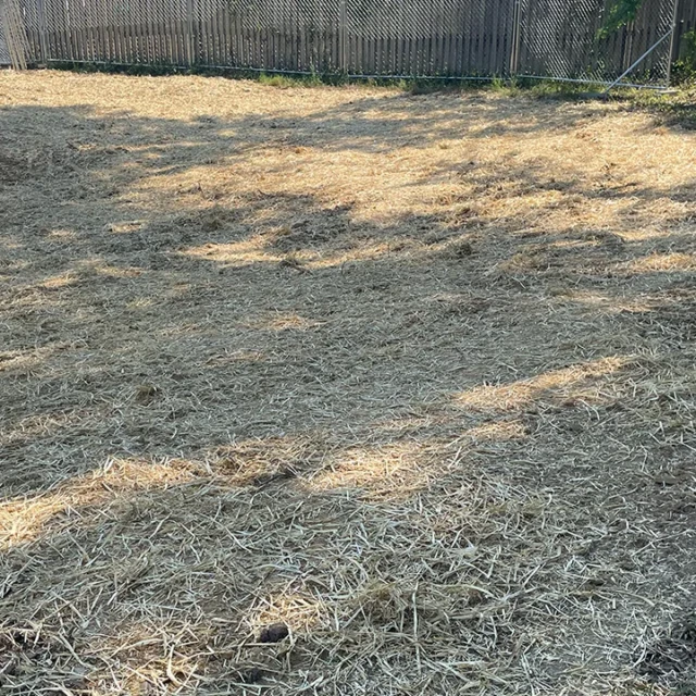 Demolition Company and Contractor in , We provide demolition services in , . We specialize in exterior and interior demolition for commercial and residential properties.